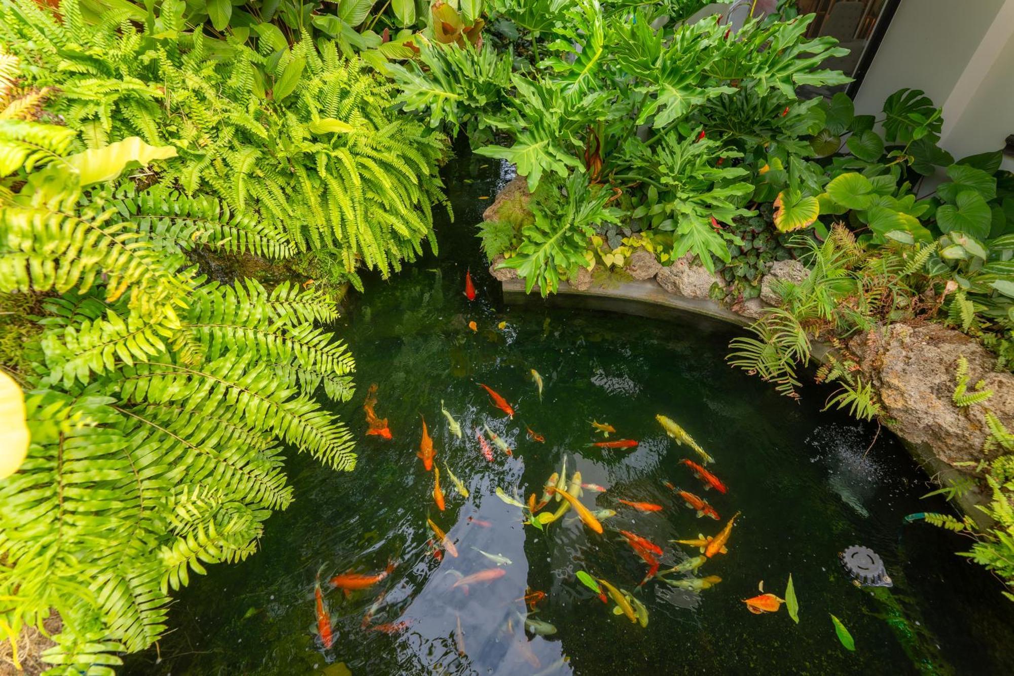Verbena Chiangmai Τσιάνγκ Μάι Εξωτερικό φωτογραφία